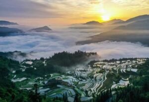 camping chair supplier