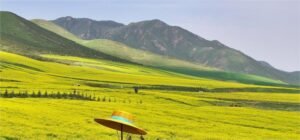 camping chair supplier