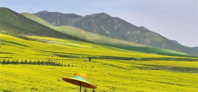 camping chair supplier