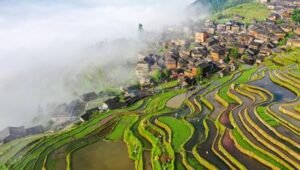 Nanjing Top Leisure Product Co.,Ltd Camping Chair Supplier