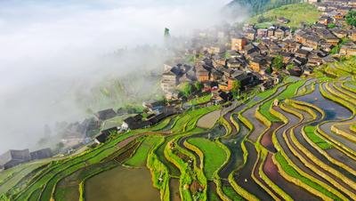 Nanjing Top Leisure Product Co.,Ltd Camping Chair Supplier