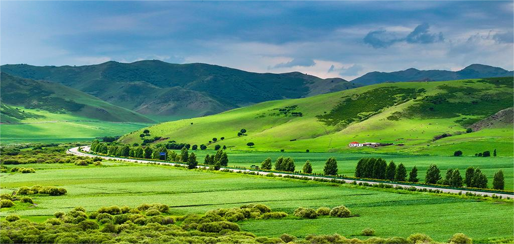 camping chair supplier