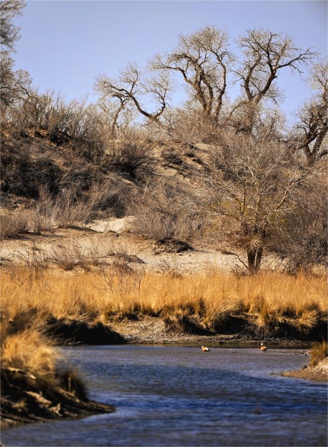 camping chair suppliers