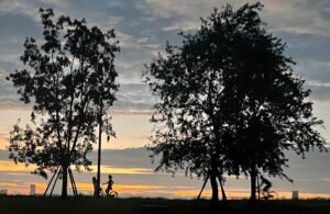 Camping Chair Supplier