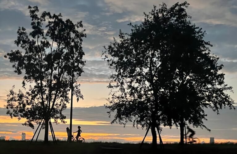 Camping Chair Supplier